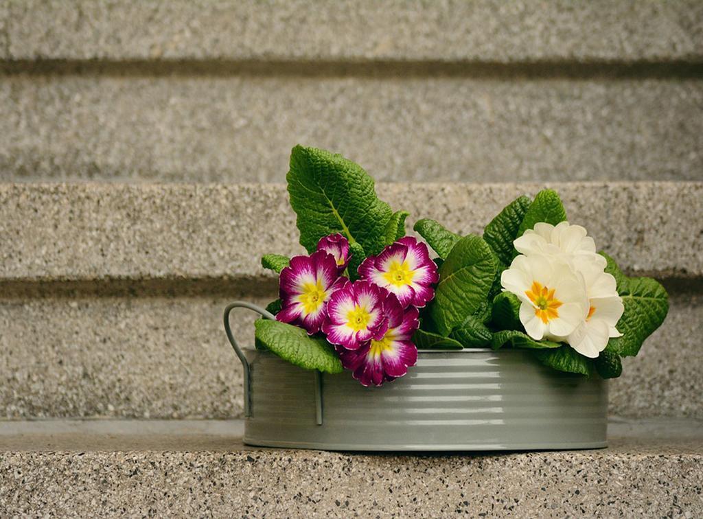 Lovely Home Marta Pozzuoli Exterior photo